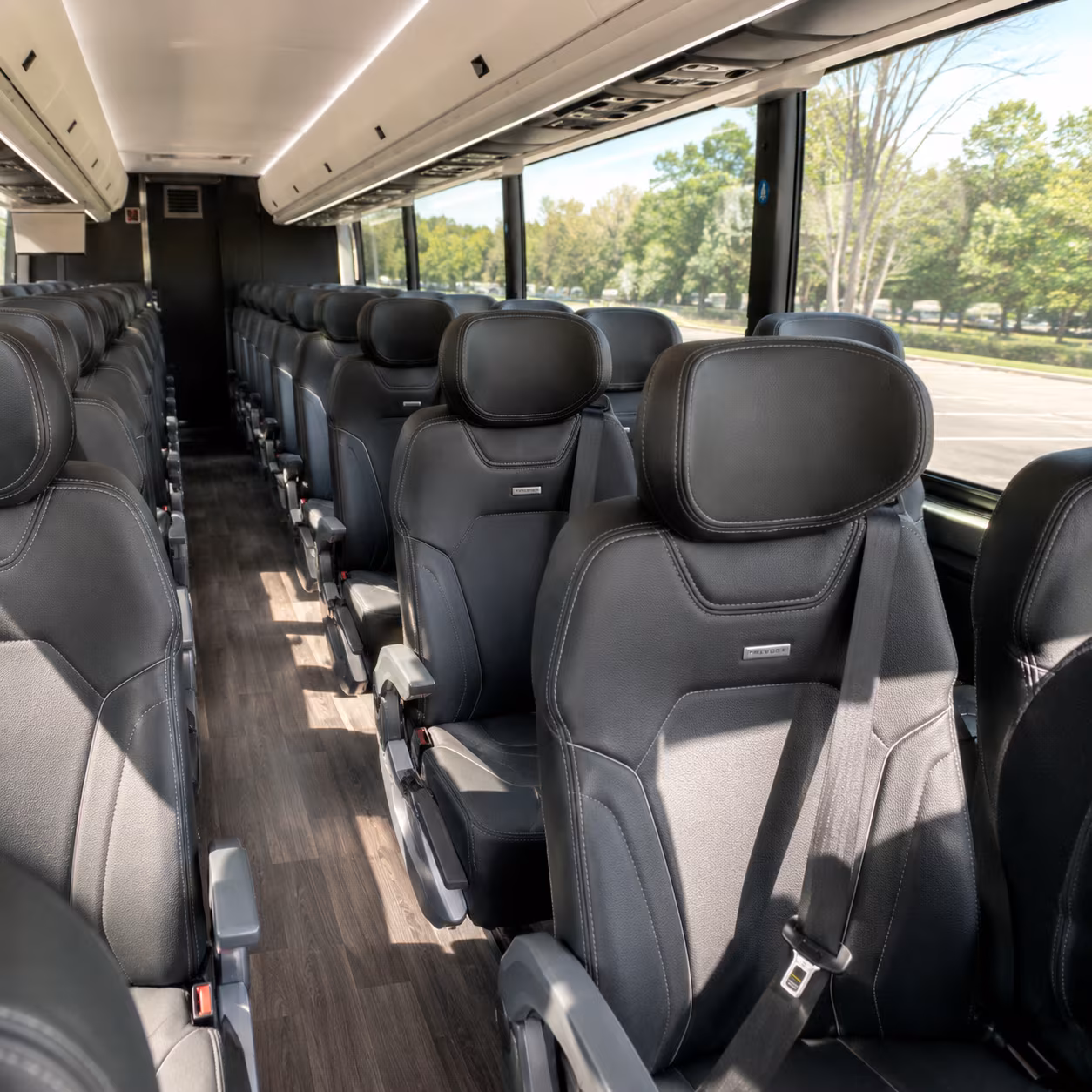 murrieta birthday party transportation onboard seating
