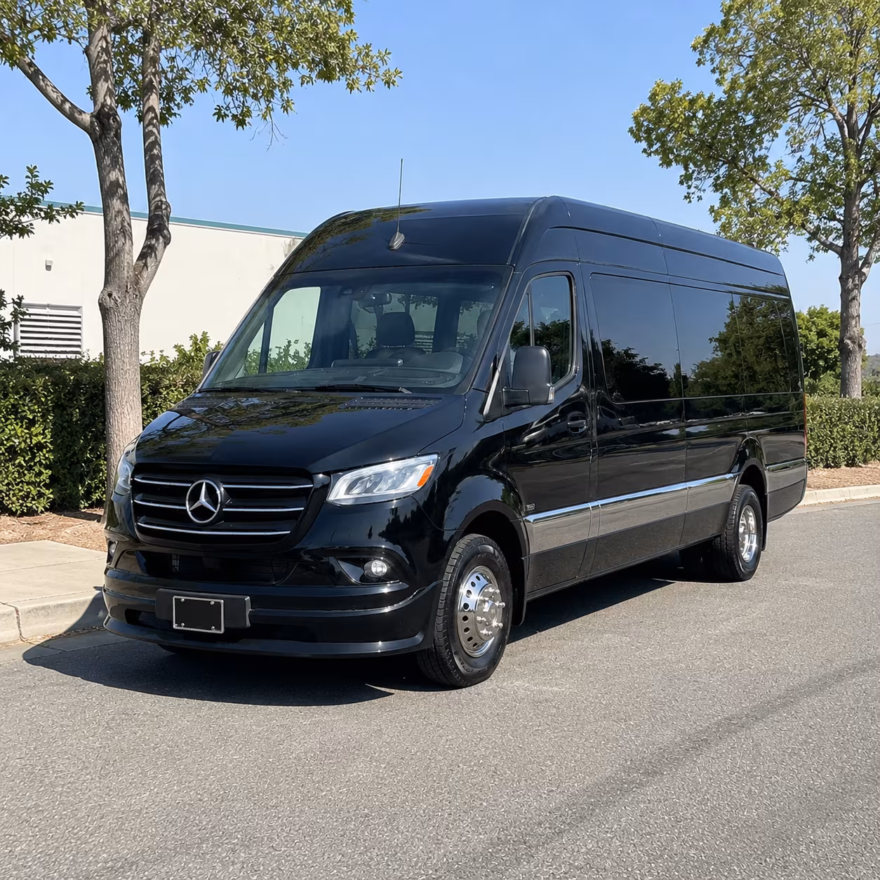 murrieta sprinter van with driver